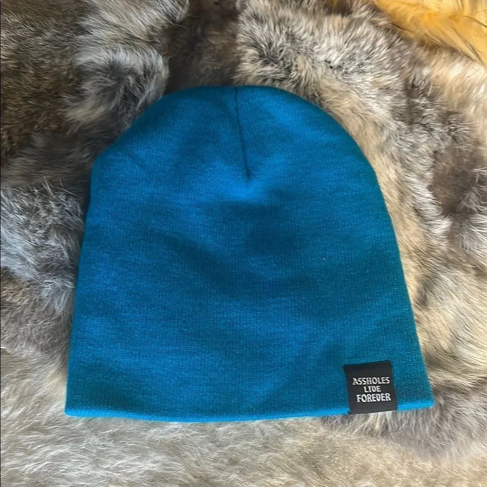 Assholes live forever beanie OS (3965)